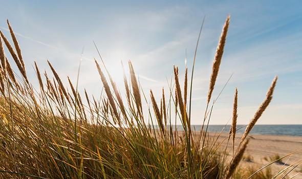 Freepik_sunbeams-sweep-the-dunes-on-the-baltic-sea-at-sunset_svetilos.jpg